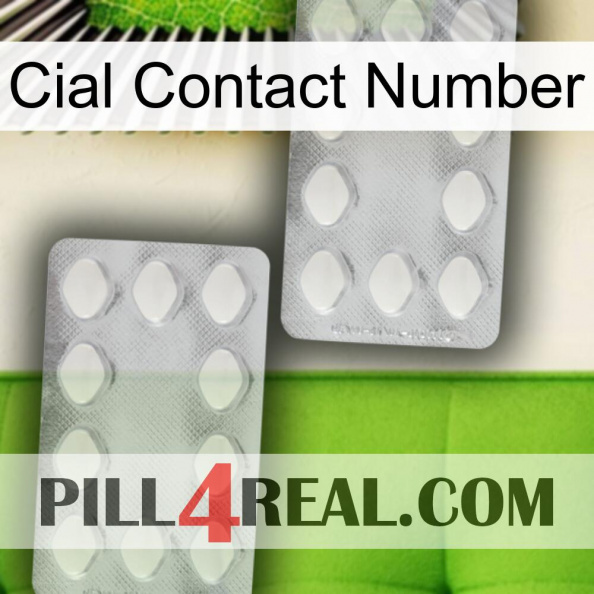 Cial Contact Number 17.jpg